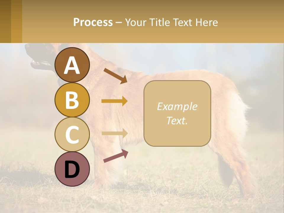 A Large Brown Dog Standing On Top Of A Grass Covered Field PowerPoint Template