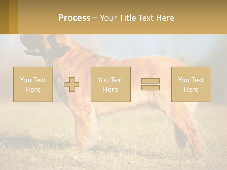 A Large Brown Dog Standing On Top Of A Grass Covered Field PowerPoint Template