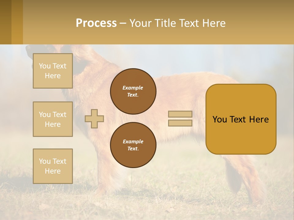 A Large Brown Dog Standing On Top Of A Grass Covered Field PowerPoint Template