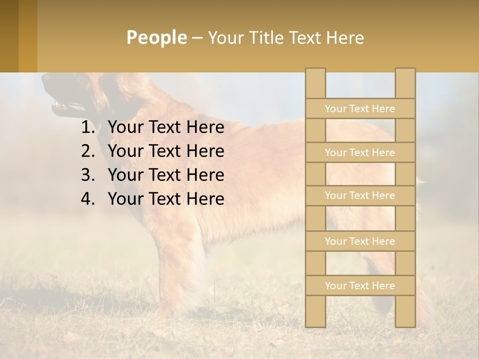 A Large Brown Dog Standing On Top Of A Grass Covered Field PowerPoint Template