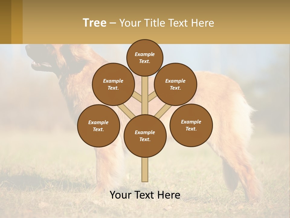 A Large Brown Dog Standing On Top Of A Grass Covered Field PowerPoint Template