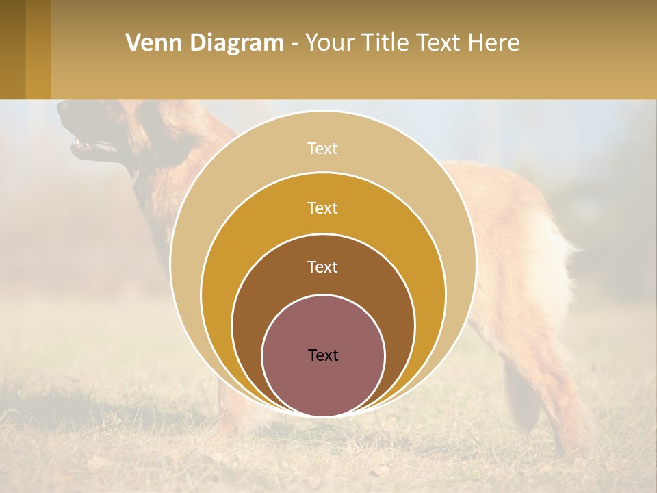 A Large Brown Dog Standing On Top Of A Grass Covered Field PowerPoint Template