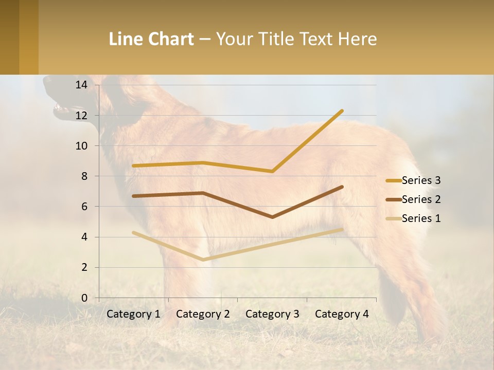 A Large Brown Dog Standing On Top Of A Grass Covered Field PowerPoint Template