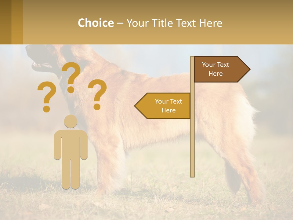 A Large Brown Dog Standing On Top Of A Grass Covered Field PowerPoint Template