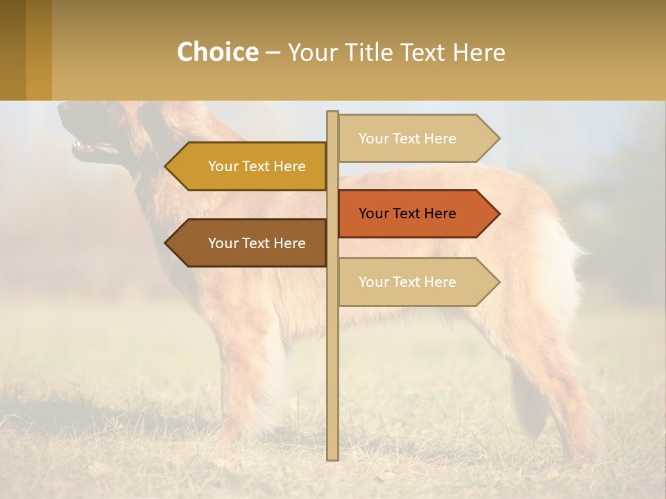 A Large Brown Dog Standing On Top Of A Grass Covered Field PowerPoint Template