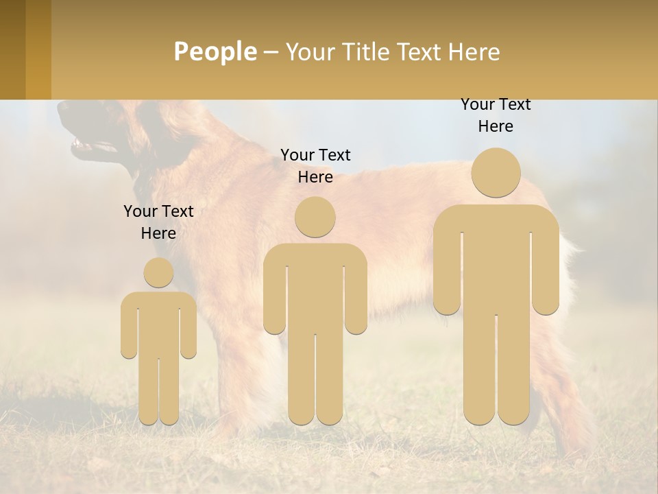 A Large Brown Dog Standing On Top Of A Grass Covered Field PowerPoint Template