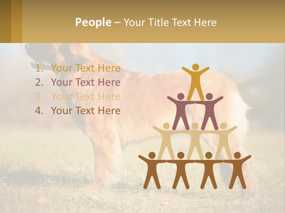 A Large Brown Dog Standing On Top Of A Grass Covered Field PowerPoint Template