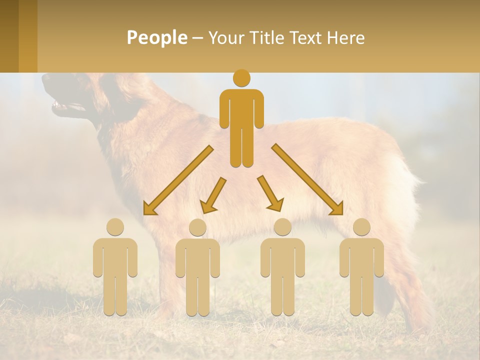 A Large Brown Dog Standing On Top Of A Grass Covered Field PowerPoint Template