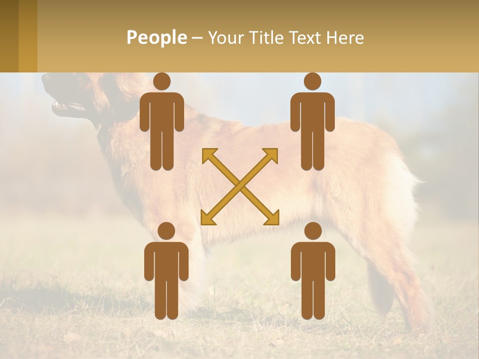 A Large Brown Dog Standing On Top Of A Grass Covered Field PowerPoint Template