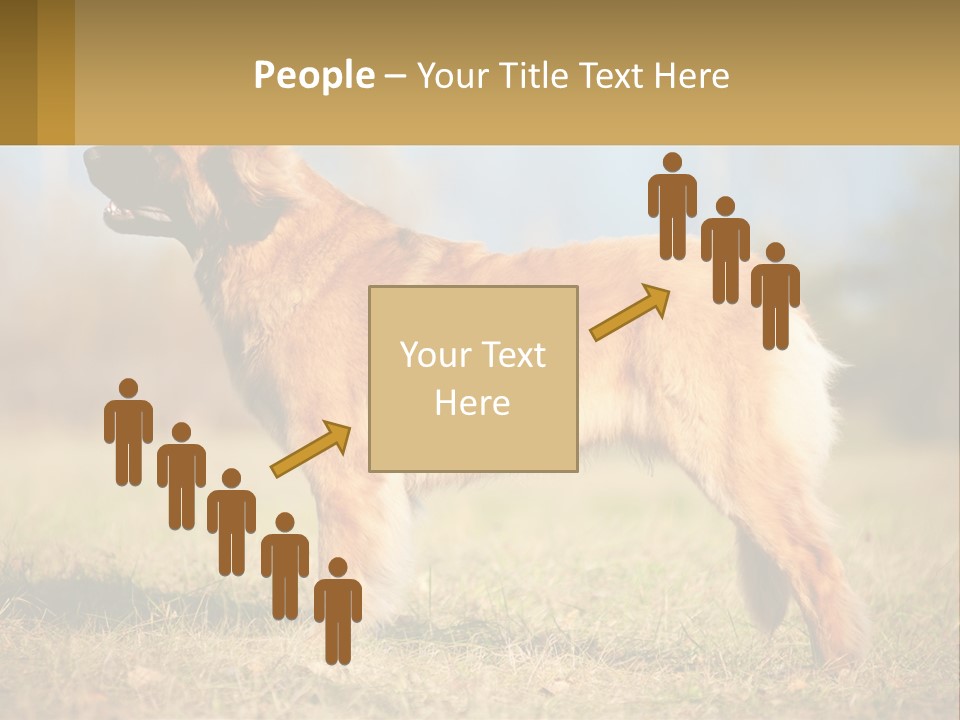 A Large Brown Dog Standing On Top Of A Grass Covered Field PowerPoint Template