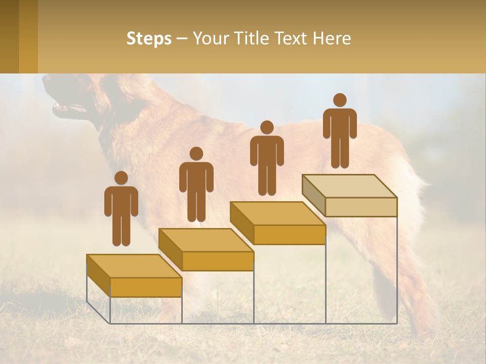 A Large Brown Dog Standing On Top Of A Grass Covered Field PowerPoint Template