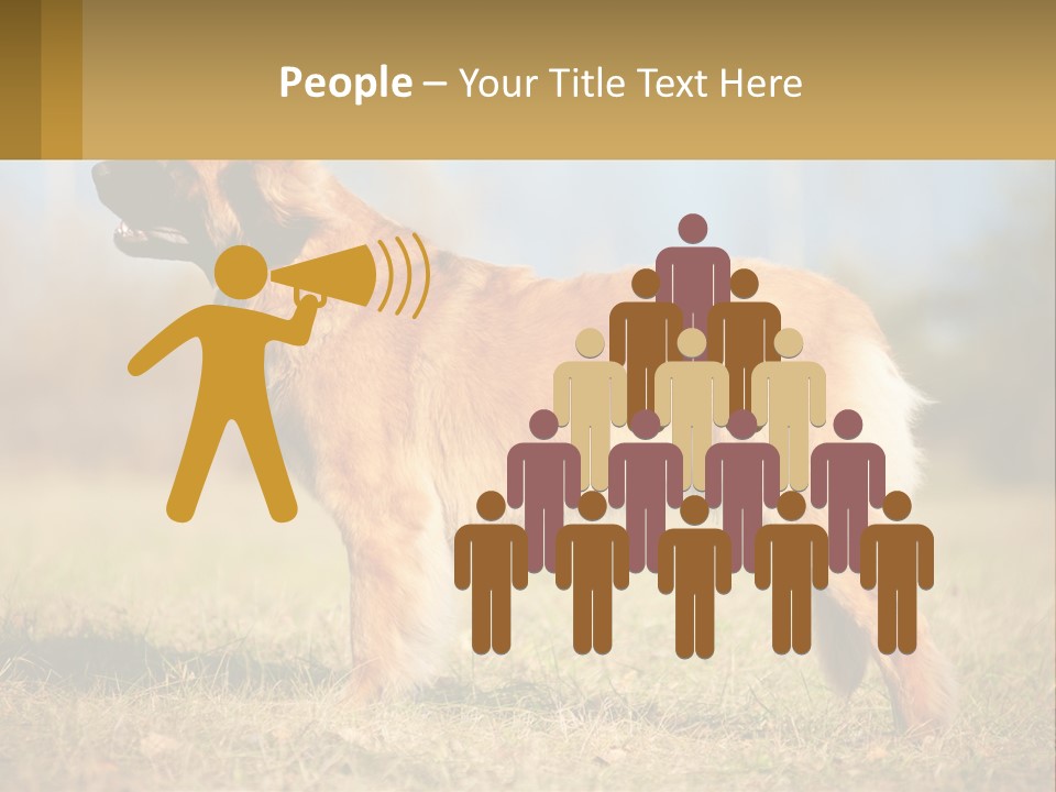 A Large Brown Dog Standing On Top Of A Grass Covered Field PowerPoint Template