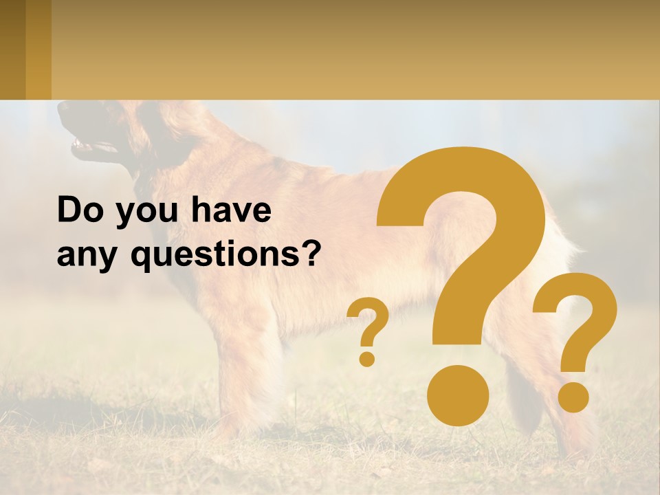 A Large Brown Dog Standing On Top Of A Grass Covered Field PowerPoint Template