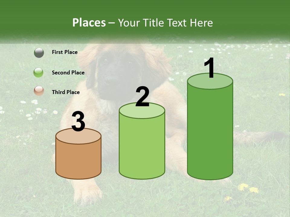 A Large Brown Dog Laying On Top Of A Lush Green Field PowerPoint Template