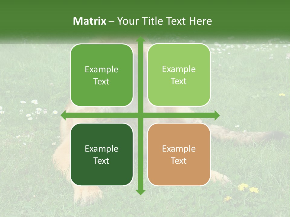 A Large Brown Dog Laying On Top Of A Lush Green Field PowerPoint Template