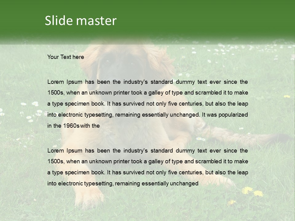 A Large Brown Dog Laying On Top Of A Lush Green Field PowerPoint Template