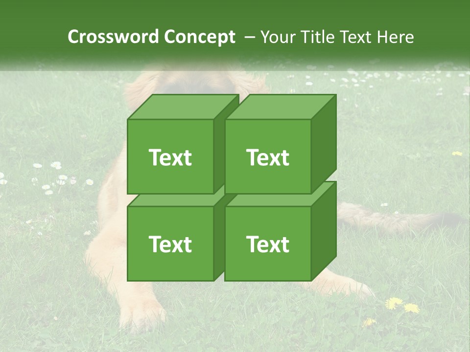 A Large Brown Dog Laying On Top Of A Lush Green Field PowerPoint Template