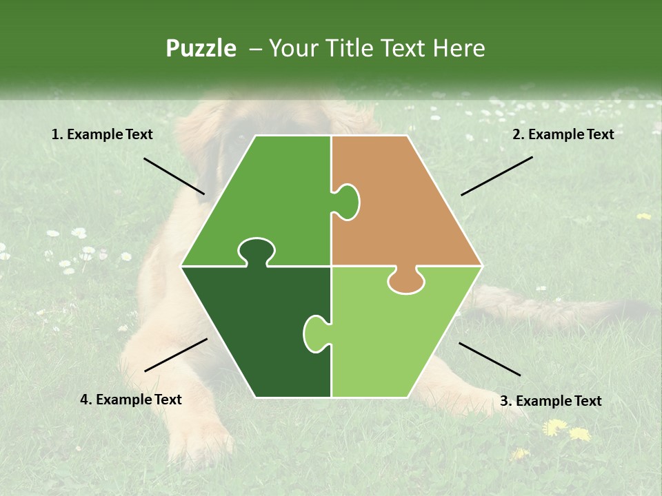 A Large Brown Dog Laying On Top Of A Lush Green Field PowerPoint Template