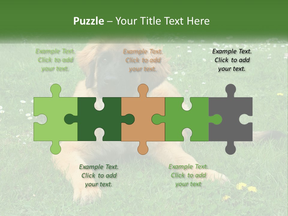 A Large Brown Dog Laying On Top Of A Lush Green Field PowerPoint Template