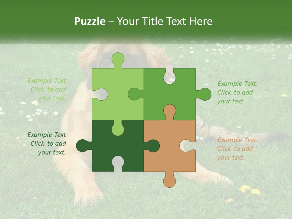 A Large Brown Dog Laying On Top Of A Lush Green Field PowerPoint Template