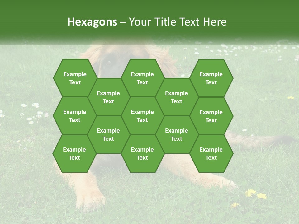 A Large Brown Dog Laying On Top Of A Lush Green Field PowerPoint Template