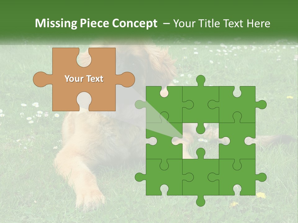 A Large Brown Dog Laying On Top Of A Lush Green Field PowerPoint Template