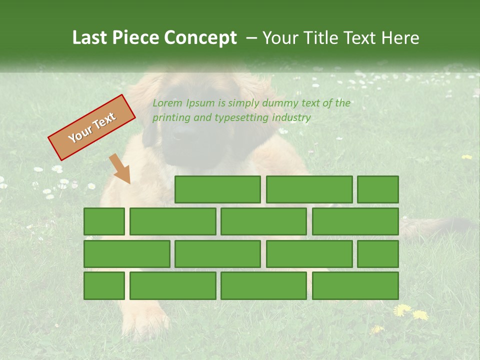 A Large Brown Dog Laying On Top Of A Lush Green Field PowerPoint Template
