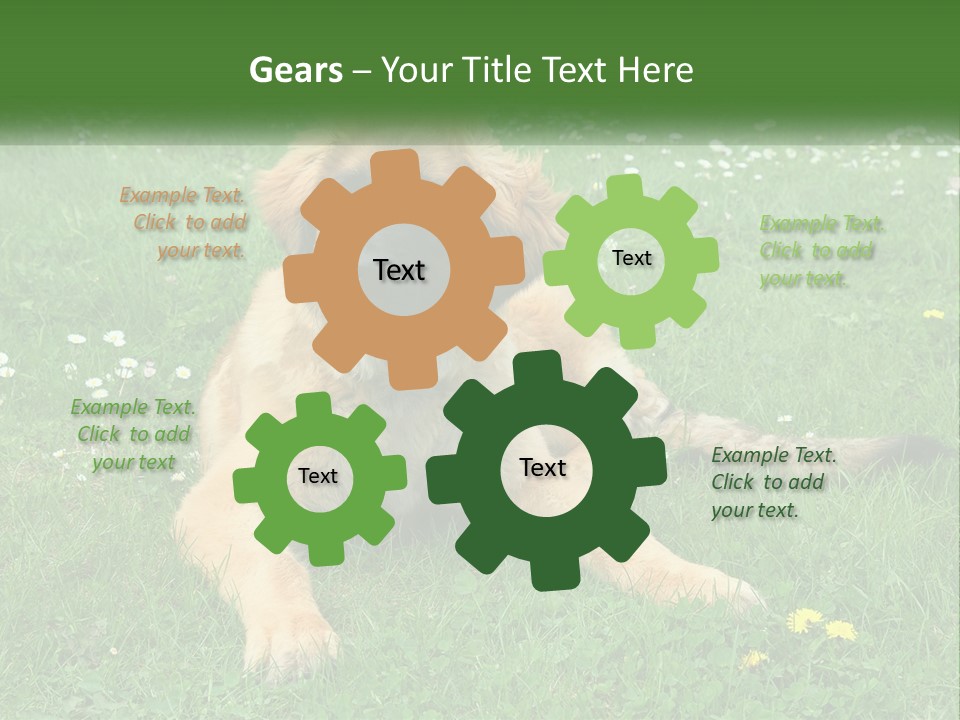 A Large Brown Dog Laying On Top Of A Lush Green Field PowerPoint Template