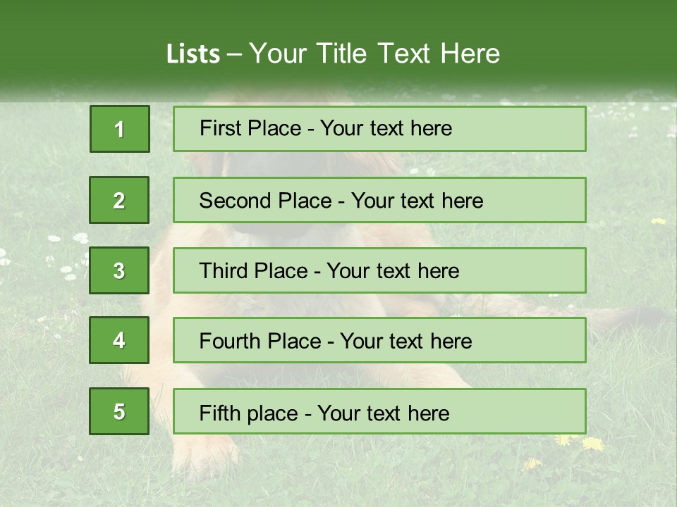 A Large Brown Dog Laying On Top Of A Lush Green Field PowerPoint Template
