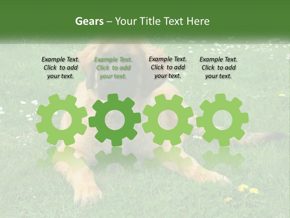 A Large Brown Dog Laying On Top Of A Lush Green Field PowerPoint Template