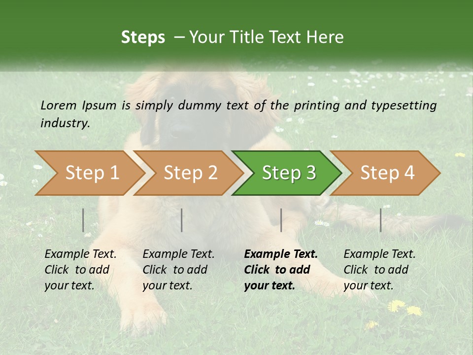 A Large Brown Dog Laying On Top Of A Lush Green Field PowerPoint Template