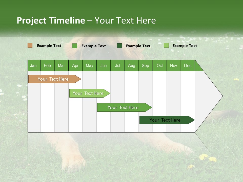 A Large Brown Dog Laying On Top Of A Lush Green Field PowerPoint Template