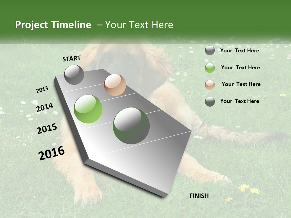 A Large Brown Dog Laying On Top Of A Lush Green Field PowerPoint Template