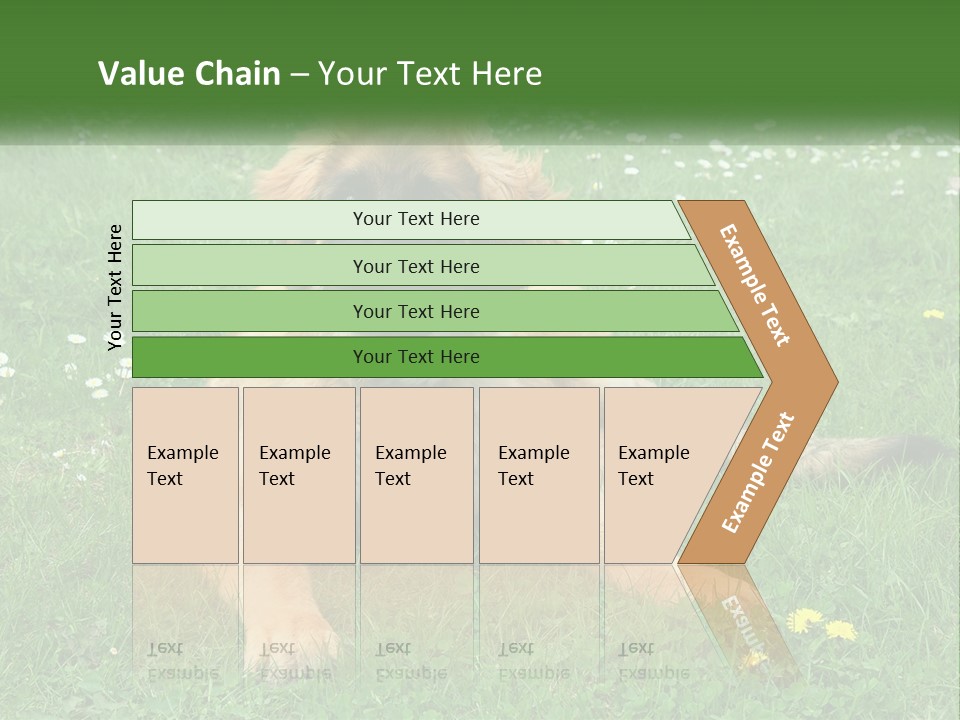A Large Brown Dog Laying On Top Of A Lush Green Field PowerPoint Template
