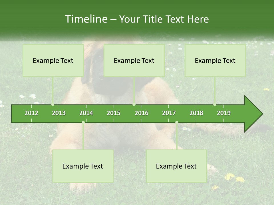 A Large Brown Dog Laying On Top Of A Lush Green Field PowerPoint Template