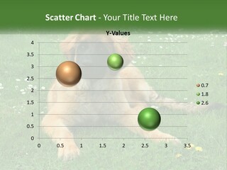 A Large Brown Dog Laying On Top Of A Lush Green Field PowerPoint Template