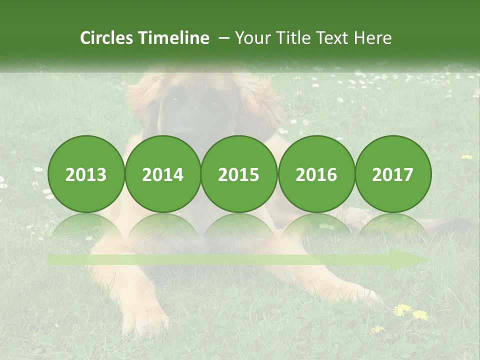 A Large Brown Dog Laying On Top Of A Lush Green Field PowerPoint Template