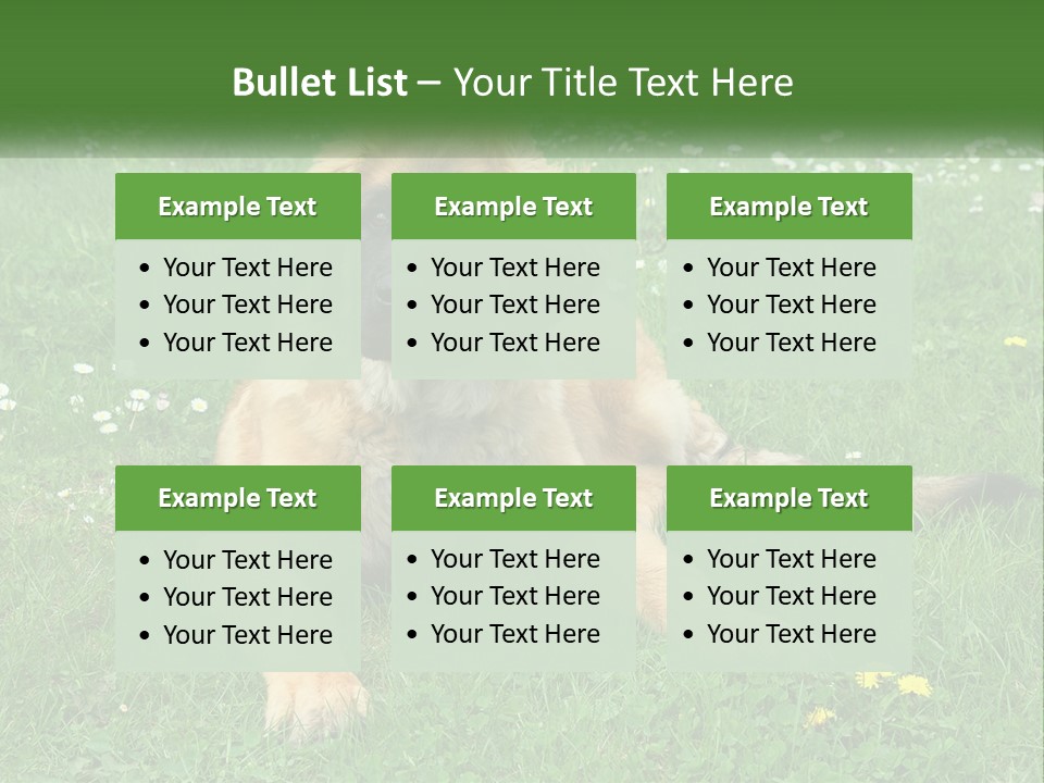 A Large Brown Dog Laying On Top Of A Lush Green Field PowerPoint Template