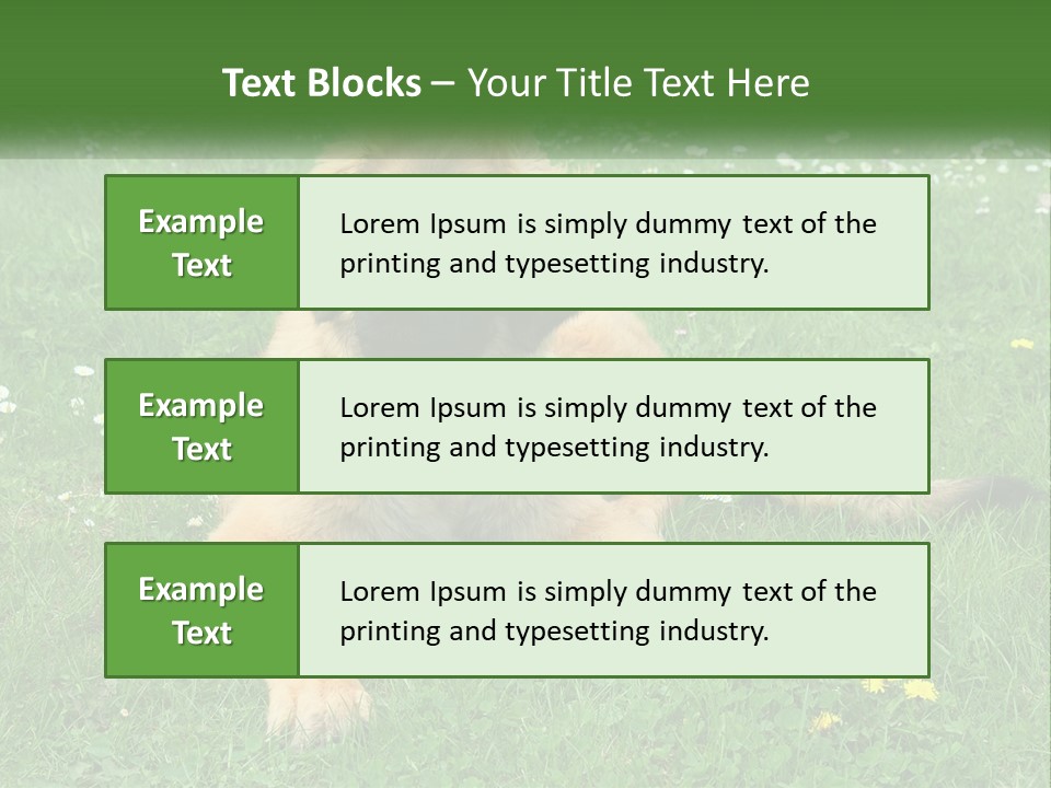 A Large Brown Dog Laying On Top Of A Lush Green Field PowerPoint Template