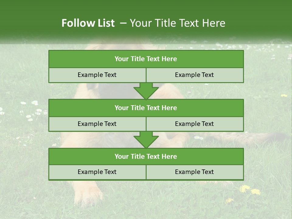 A Large Brown Dog Laying On Top Of A Lush Green Field PowerPoint Template