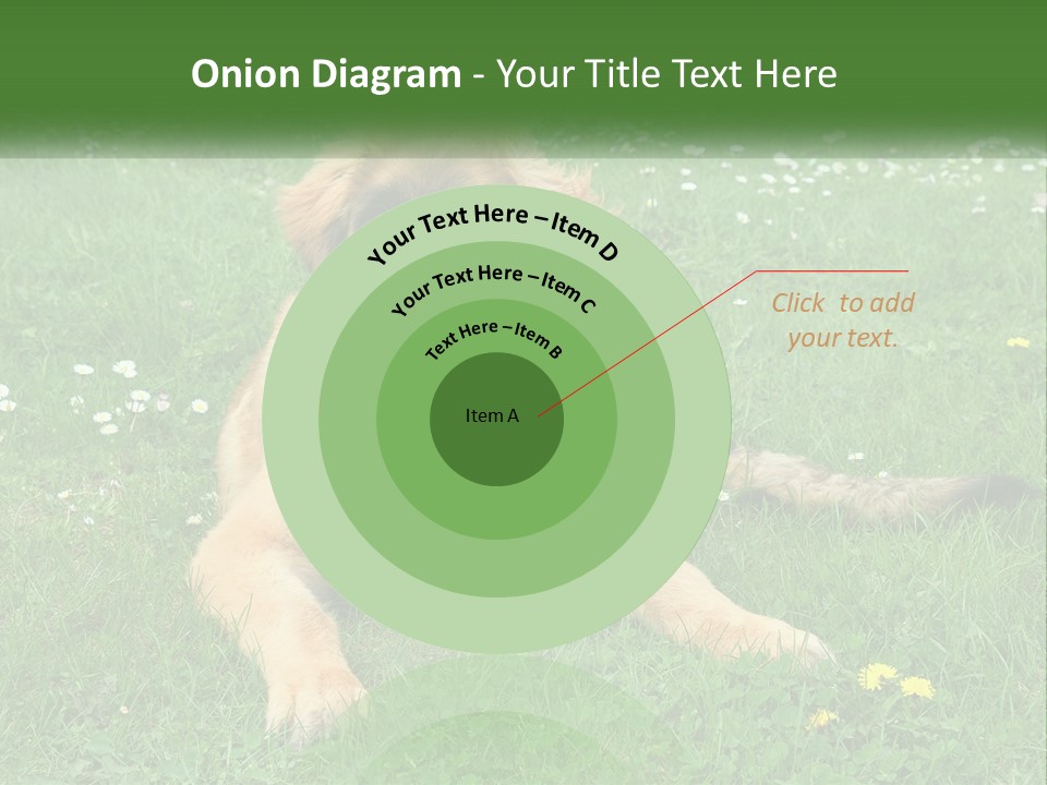 A Large Brown Dog Laying On Top Of A Lush Green Field PowerPoint Template
