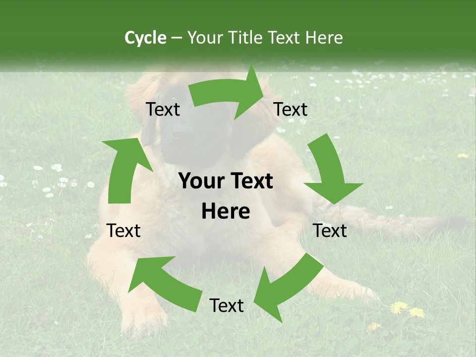 A Large Brown Dog Laying On Top Of A Lush Green Field PowerPoint Template