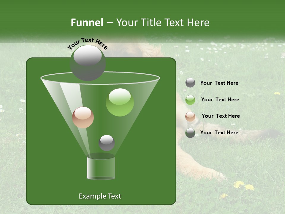 A Large Brown Dog Laying On Top Of A Lush Green Field PowerPoint Template