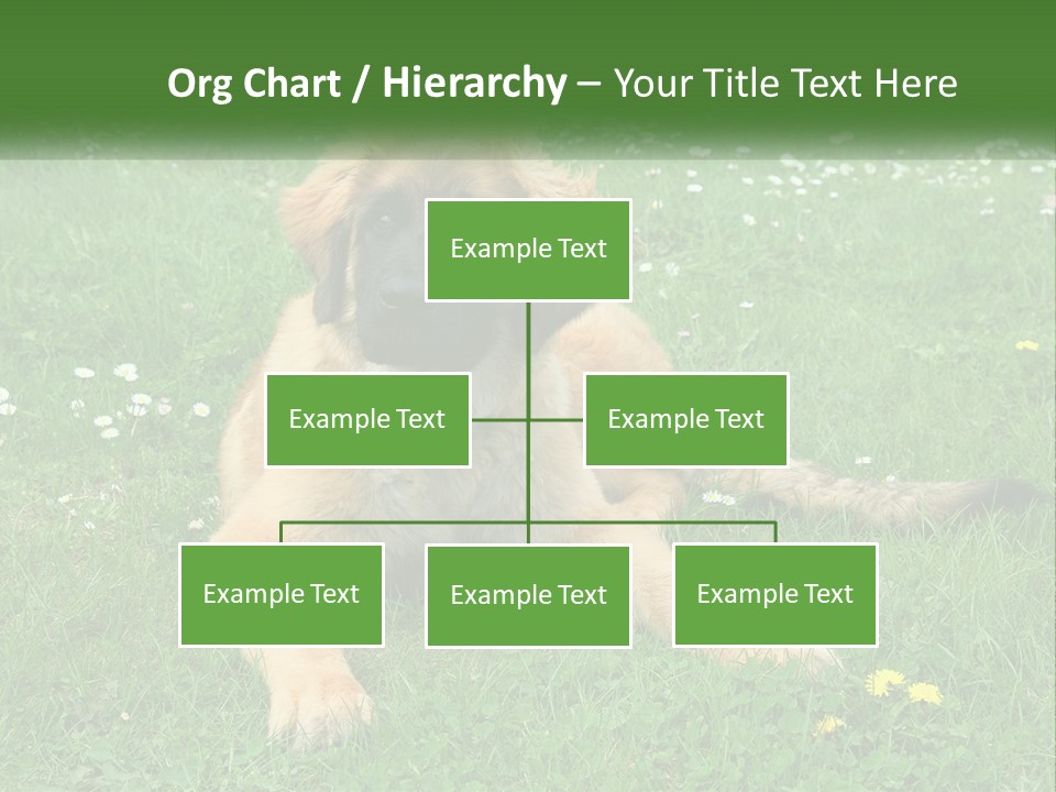 A Large Brown Dog Laying On Top Of A Lush Green Field PowerPoint Template
