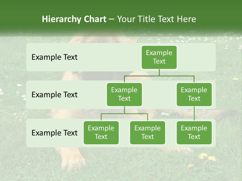 A Large Brown Dog Laying On Top Of A Lush Green Field PowerPoint Template