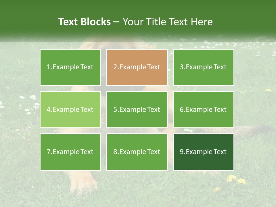 A Large Brown Dog Laying On Top Of A Lush Green Field PowerPoint Template