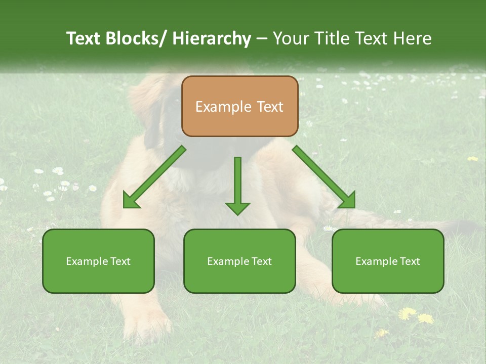 A Large Brown Dog Laying On Top Of A Lush Green Field PowerPoint Template