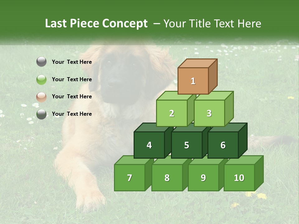 A Large Brown Dog Laying On Top Of A Lush Green Field PowerPoint Template
