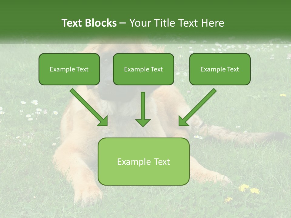 A Large Brown Dog Laying On Top Of A Lush Green Field PowerPoint Template