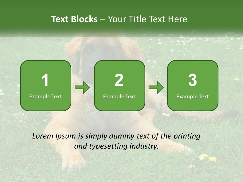 A Large Brown Dog Laying On Top Of A Lush Green Field PowerPoint Template